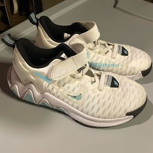 Nike Giannis basketball shoes
